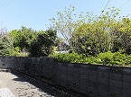 島田市売土地